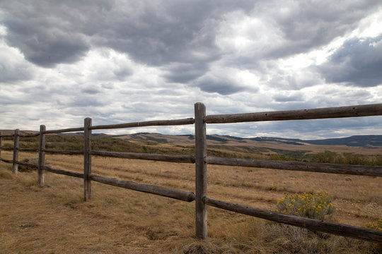 Pastoral Scene With Fence