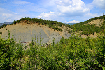 A herd of mountain goats descends along a sheer mountain.