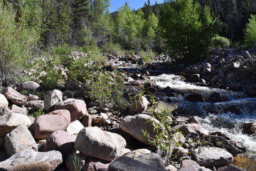 Mountain Stream