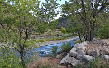 Fototapeta na wymiar Mountain stream in Colorado