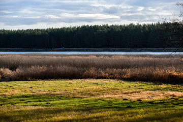 Rural autumn landscape.