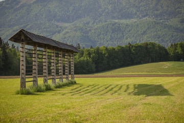 Traditional slovenian hayrack standing in the summer meadow in gorenjska region. shadow of a...