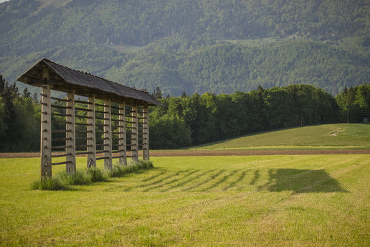 Traditional slovenian hayrack standing in the summer meadow in gorenjska region. shadow of a hayrack is cast on the grass to the right.