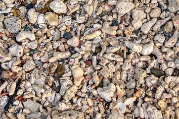 Public Beach near Red Hook, US virgin Islands