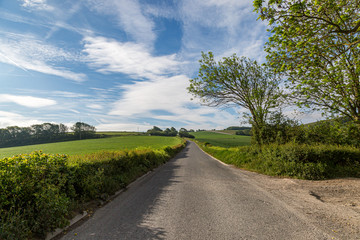 Fototapeta na wymiar A road through the Sussex countryside on a sunny late spring day