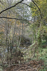 Struilitsa eco path at Devin river gorge, Rhodope Mountains