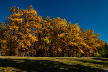 Fototapeta premium Nice color autumn park with river landscape nature Sofiyivsky Park