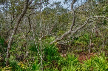 Deer Beach State Park is located in the Panhandle of Florida