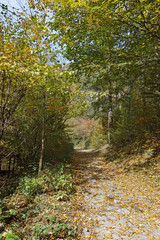 Fototapeta na wymiar Struilitsa eco path at Devin river gorge, Rhodope Mountains