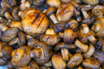 grilled mushrooms as background at the street food	