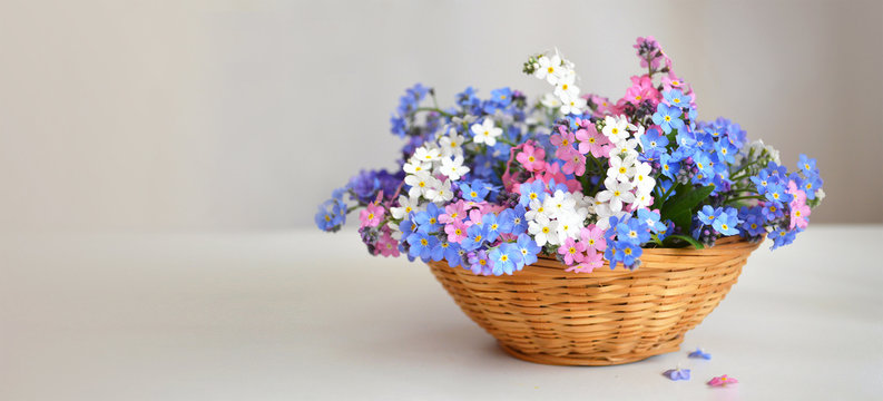 Mothers Day flowers. Forget me not flowers in the basket