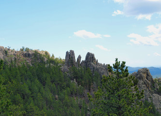 Black Hills in South Dakota with The Needles