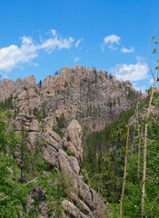 Black Hills in South Dakota with The Needles