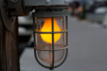 The light