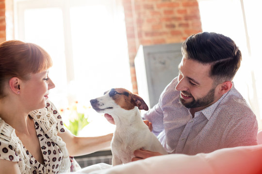 Couple petting Jack Russell Terrier dog on bed