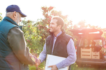 Male farmer and customer handshaking in sunny apple orchard