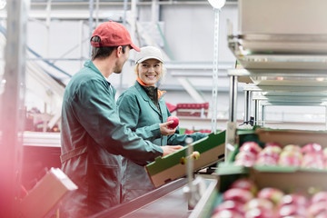 Workers talking and inspecting apples in food processing plant
