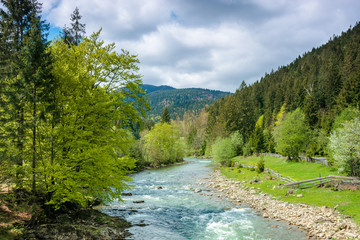 river in mountains. wonderful springtime scenery of carpathian countryside. blue green water among forest and rocky shore. wooden fence on the river bank. sunny day with clouds on the sky