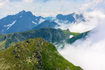 peaks of mountain ridge above the clouds. gorgeous scenery of romanian mountains. fagaras massif in summertime