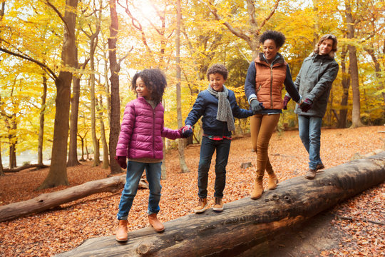 Young family holding hands walking on log in autumn woods