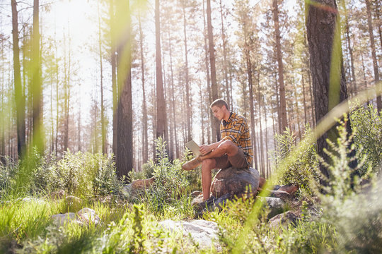 Young man using digital tablet in sunny woods