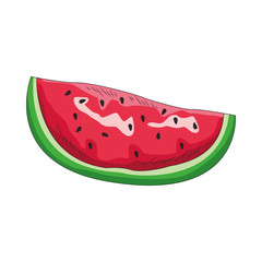 watermelon fruit icon, flat design
