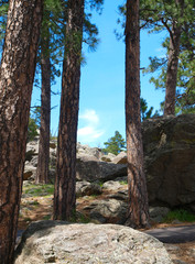 Devils Tower National Monument in Wyoming