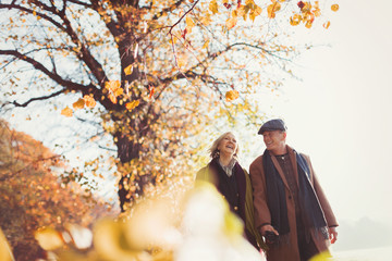 Affectionate senior couple holding hands walking in sunny autumn park