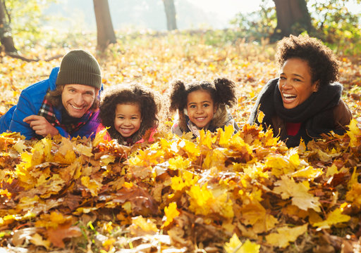 Portrait smiling young family laying in autumn leaves in sunny woods