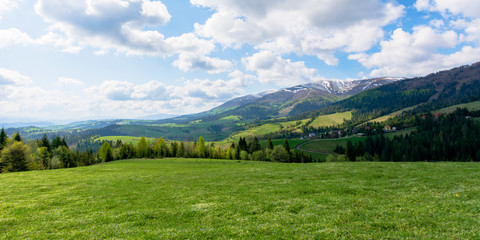 mountainous countryside landscape in spring. grassy meadow on top of a hill. mountain ridge with snow capped tops in the distance. sunny weather with clouds on the blue sky - Powered by Adobe