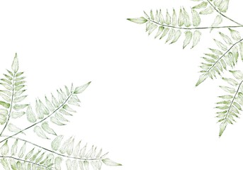 Fern card greenery for design, great for wedding invites, anniversary, birthday, greeting cards