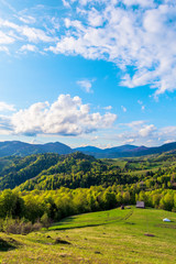 Fototapeta premium Carpathians countryside in springtime
