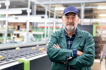 Portrait confident worker at conveyor belt in food processing plant