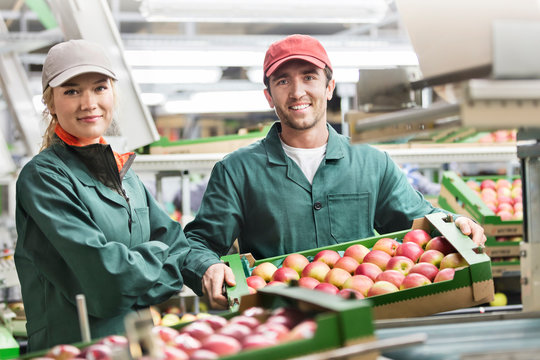 Portrait smiling workers boxes of red apples in food processing plant