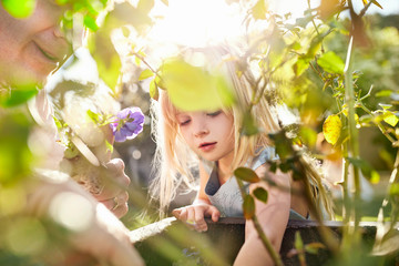 Curious girl gardening, planting flowers in sunny garden