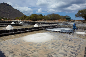 Salt fields in Tamarin, Mauritius