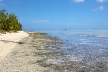 Fototapeta na wymiar Beach of Ile aux Benitiers, Mauritius