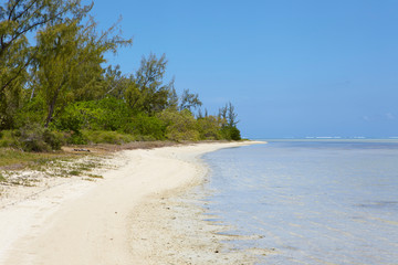 Beach of Ile aux Benitiers, Mauritius