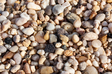 New York Stony Shore