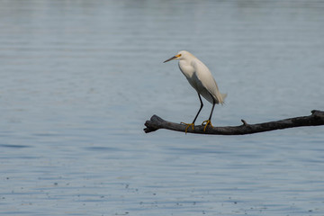La Brava Lagoon - Buenos Aires - Argentina 