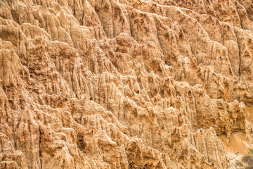 desert dune ocean landscape