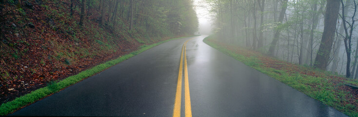 Rain on Foothill Parkway, Great Smokey National Park, Tennessee