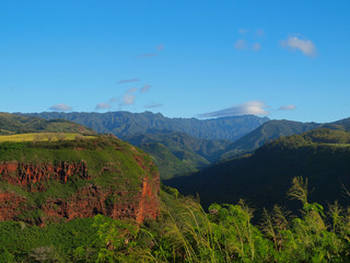 Waimea Canyon State Park in Hawaii