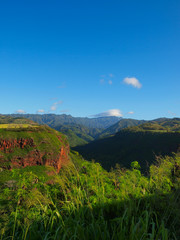 Fototapeta premium Waimea Canyon State Park in Hawaii