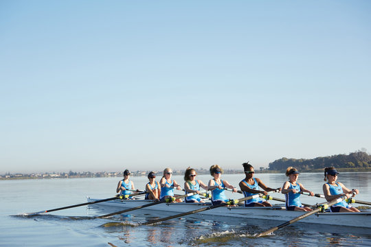Female rowers rowing scull on sunny lake under blue sky - Powered by Adobe
