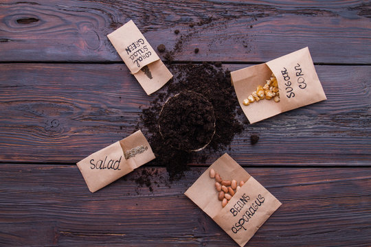 Round fibr pot and grain seeds on wood, top view. Flat lay.