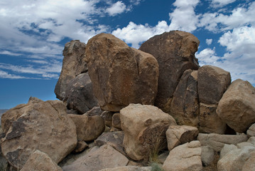 Big Boulders Joshua Tree