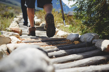 Feet of male hiker hiking along log footpath