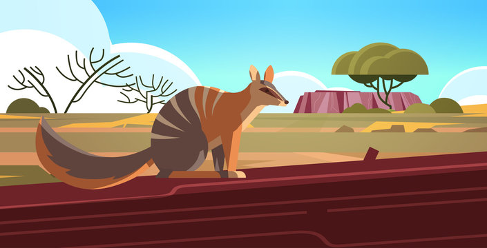 Numbat Enjoying The Sun In Australia Desert Australian Wild Animal Wildlife Fauna Concept Landscape Background Horizontal Vector Illustration