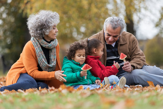 Grandparents and grandchildren eating watermelon in autumn park